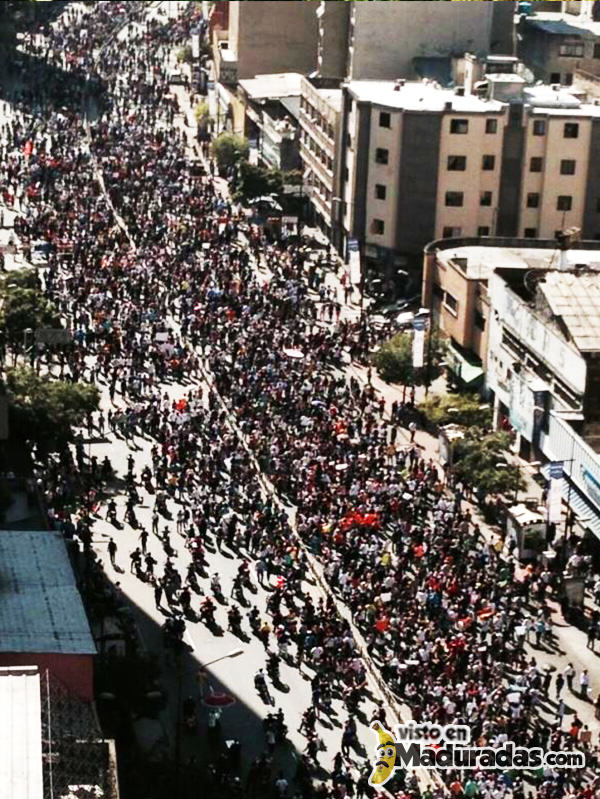 protesta marcha hasta la OEA