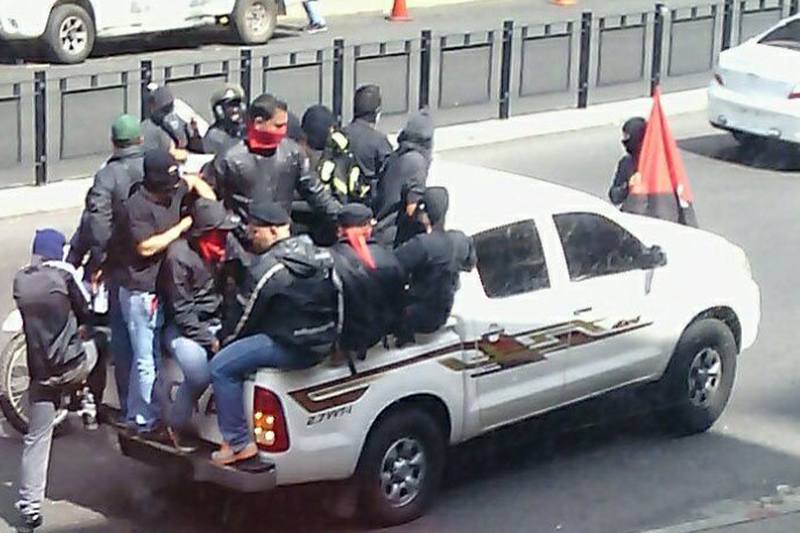 colectivos-de-la-gnb-1.jpg
